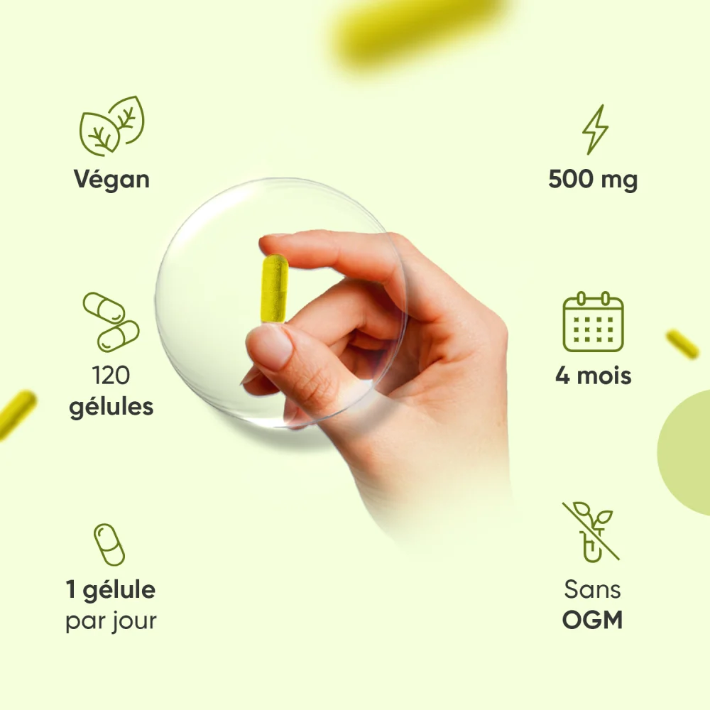 Berbérine 500 mg - Image 4