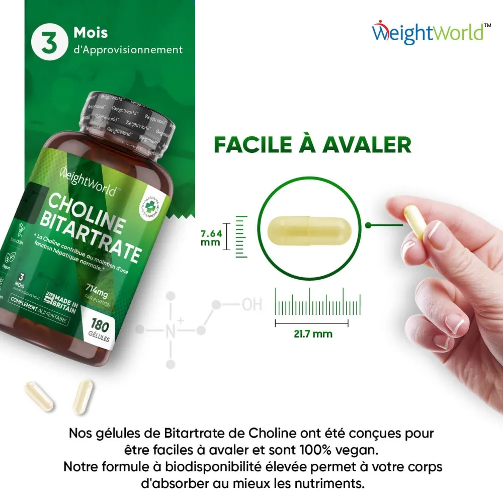 Bitartrate de Choline - Image 4
