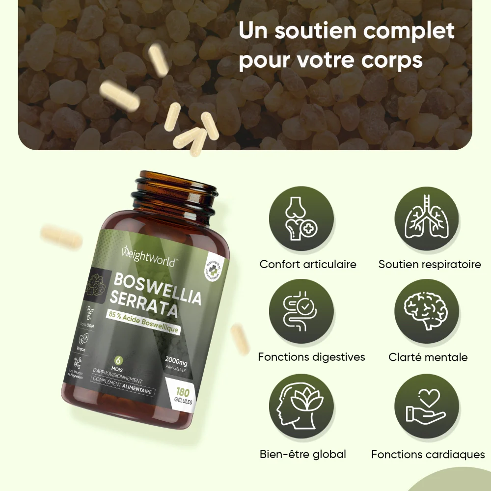Boswellia Serrata en Gélules - Image 3