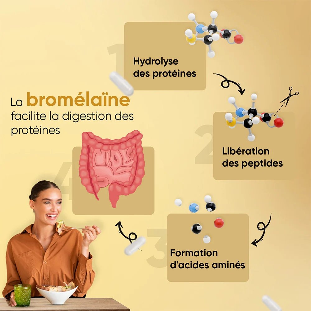 Broméline - Image 3