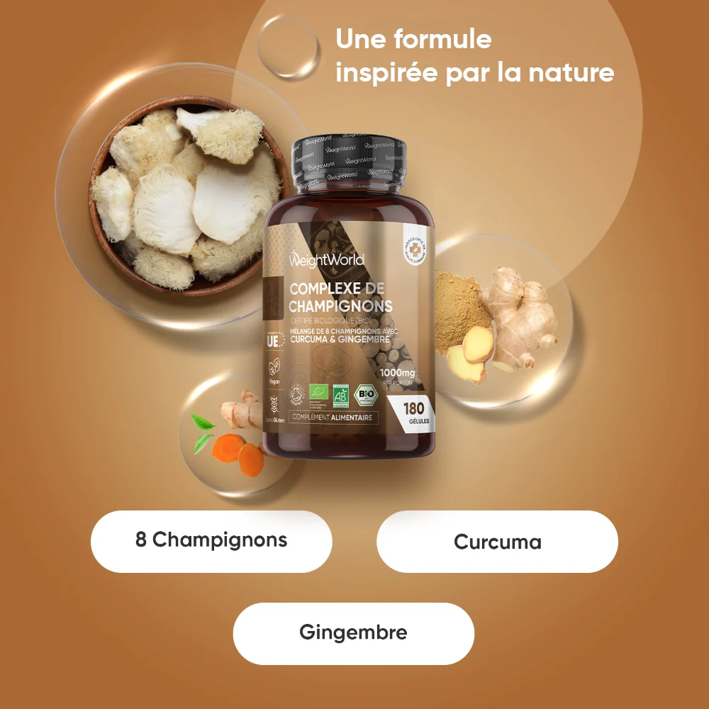 Complexe de Champignons Bio - Image 6
