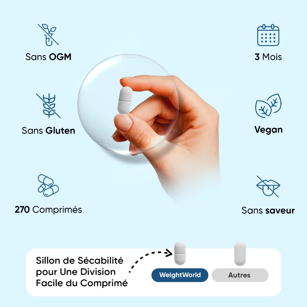 Créatine Monohydrate en comprimés - Image 5