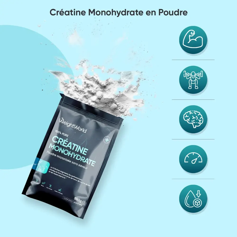 Créatine Monohydrate en poudre micronisée 100% pure - Image 18