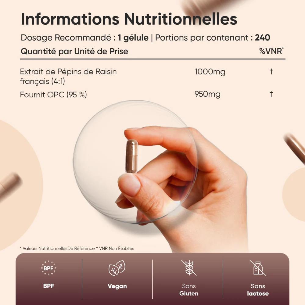 Extrait de Pépins de Raisin Français OPC 1000mg - Image 6