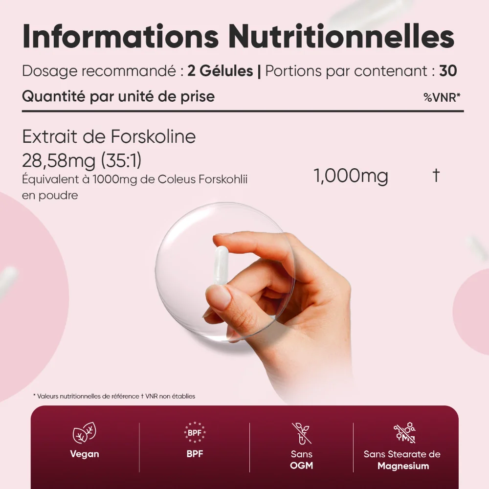 Forskoline gélules - Image 3