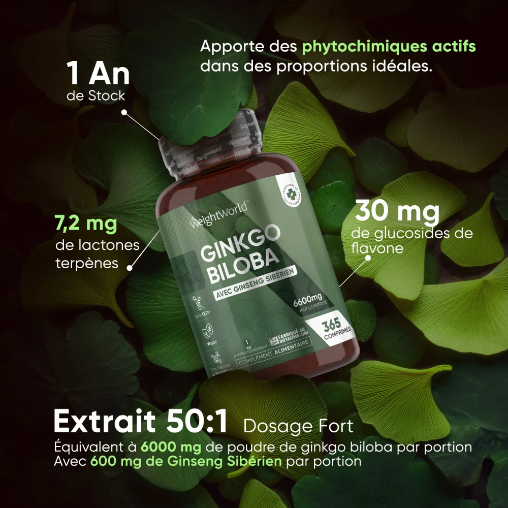 Ginkgo Biloba et Ginseng Sibérien - Image 3