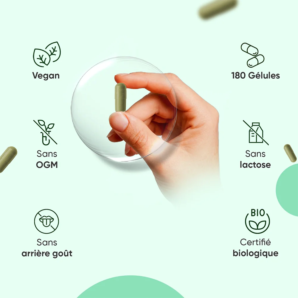 Moringa Bio en Gélules - Image 3