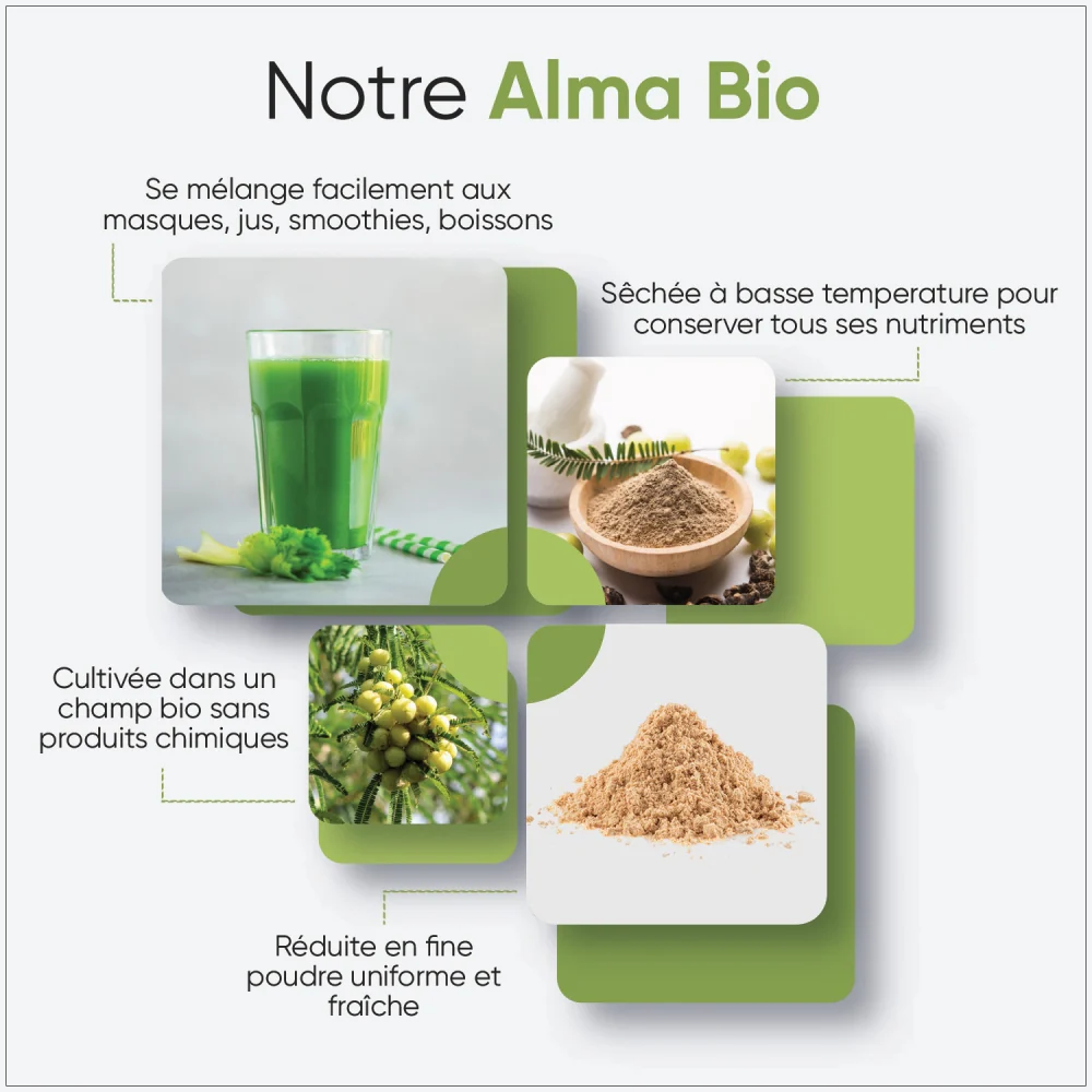Poudre d’Amla Bio - Image 3