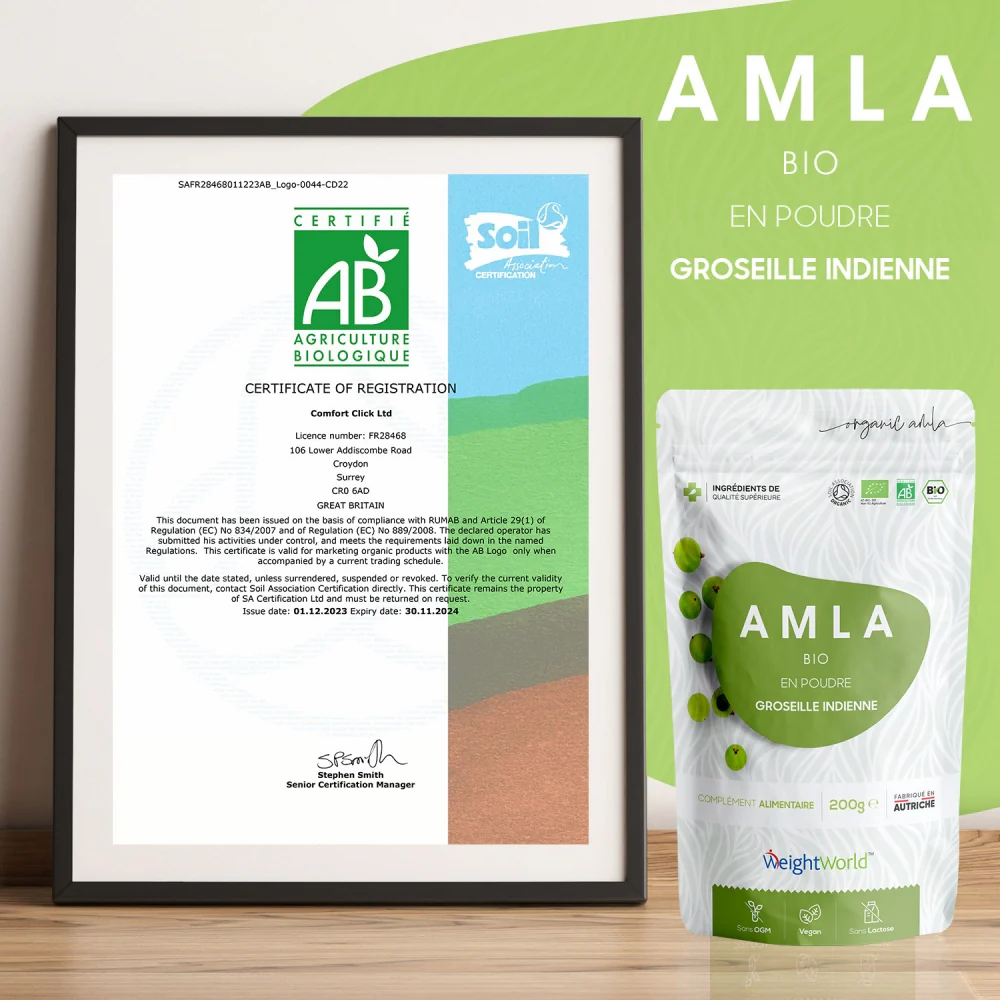 Poudre d’Amla Bio - Image 4
